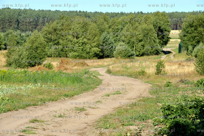 Wies Olpuch na Kaszubach. Wiejska droga. 21.07.2013...