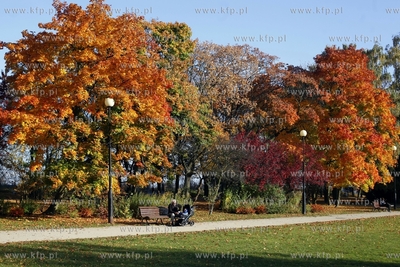 Sopot. Park Polnocny.
14.10.2013
fot. Krzysztof Mystkowski...