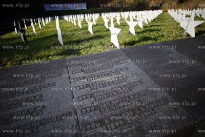 Cmentarz zolnierzy radzieckich w Gdansku.
31.10.2013
fot....
