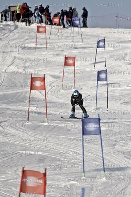 Stok narciarski w Trzepowie w okolicach Przywidza....