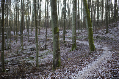 Trójmiejski Park Krajobrazowy. Szlak niebieski ( odcinek...