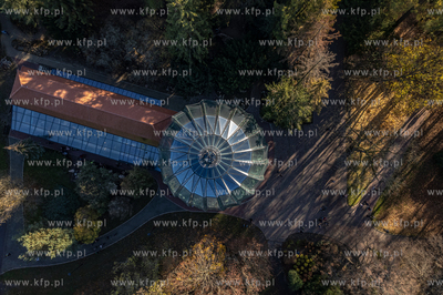 Park Oliwski. Palmiarnia.
06.11.2022
fot. Krzysztof...