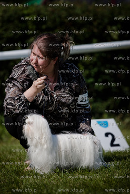 Sopot. Hipodrom. XX Miedzynarodowa Wystawa Psow Rasowych.
12.08.2012psyt
fot....