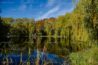 Gdansk. Jesienne, sloneczne przedpoludnie w Parku Orunskim.
27.10.2015
fot....