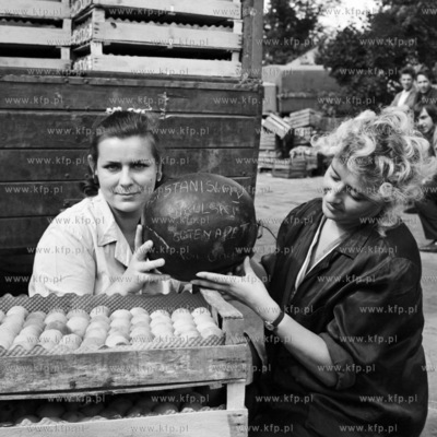 Kobiety trzymają nad skrzynką brzoskwiń arbuza przeznaczonego...