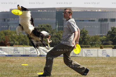 Sopocka Wystawa Psow Rasowych. W trakcie wystawy odbywaly...