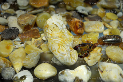 Amberif 2010. 17. Miedzynarodowe Targi Bursztynu, Bizuterii...