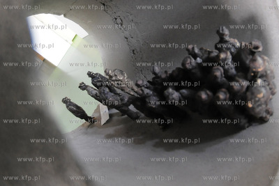 Poimorski Park Naukowo - Technologiczny w Gdyni. Wystawa...