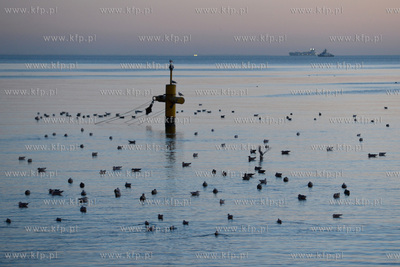 Gdynia Orlowo. Na Orlowskiej plazy o swicie. Nz. Wyciag...