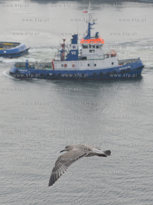 Do gdynskiego portu wplyna kontenerowiec MSC Asya -...