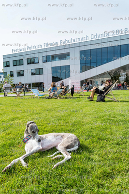 43. Festiwal Polskich Filmów Fabularnych w Gdyni....