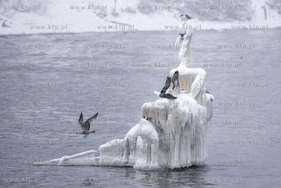 Gdynia Orlowo w zimowej szacie
10.02.2021r.
Fot. Andrzej...
