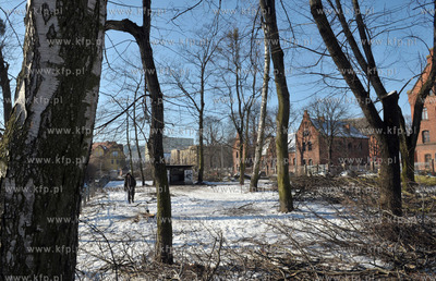 Wycinka drzew pod budowe nowej Trasy Slowackiego. Tereny...