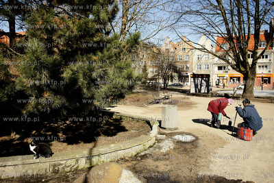 Gdansk. Swer przy ul. Szerokiej.
16.03.2010
fot....