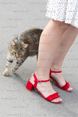 48. Festiwal Polskich Filmów Fabularych w Gdyni. 19.09.2023...