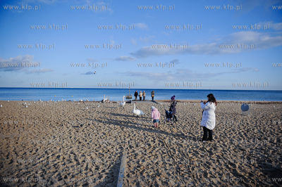 Sopot. Sloneczny dzien na plazy.
09.12.2011
fot....