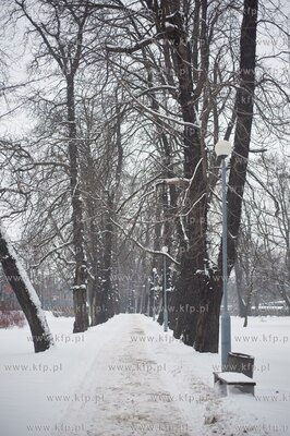 Gdansk. Park Stefensa wzdluz Al. Zwyciestwa.
20.03.2013
fot....