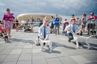 Gdansk. Teren przed stadionem PGE Arena. Miedzynarodowa...