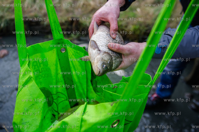 Gdansk. Pracowinicy Gdanskich melioracji oproznili...