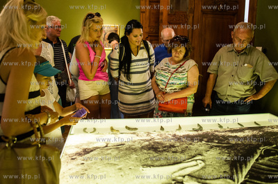 Muzeum Sopotu. Kuratorskie oprowadzanie po wystawie...