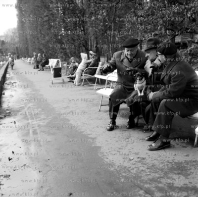 Dyskusja na lawce w parku oliwskim. 19.11.1975 3listopad75_z.kosycarz_p26...