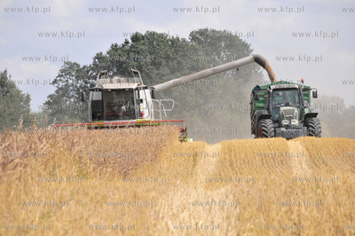 Zniwa w okolicy Pelplina
07.08.2009
fot. Krzysztof...