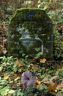 Opuszczony poniemiecki cmentarz w miejscowosci Osowo...