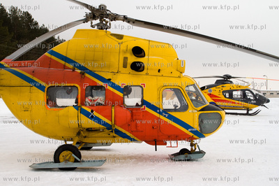 Gdansk, Rebiechowo. W dniu dzisiejszym przylecial nowy...