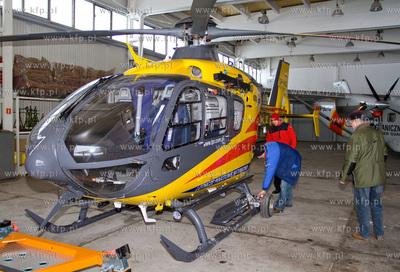 Gdansk, Rebiechowo. W dniu dzisiejszym przylecial nowy...