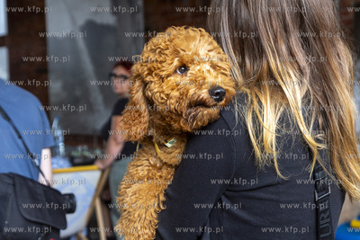"Cukroteka na 4 łapy" w Pruszczu Gdańskim.
26.08.2023
fot....