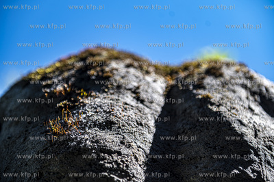 Płociczno, wieś kociewska położona w województwie...