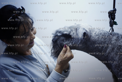 Gdansk Zaspa. Zaklad strzyzenia psow. Nz strzyzenie...