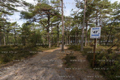 Wycinka lasu w okolicach Słajszewa w woj. pomorskim...