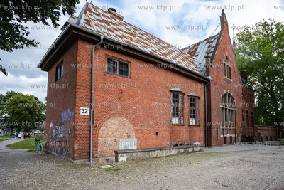Gdańsk Wrzeszcz. Osiedle Garnizon. Nz. Kot autorstwa...