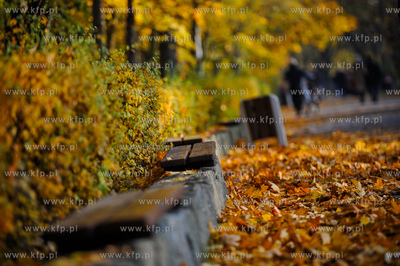 Gdansk. Park Jelitkowski.
06.11.2011
fot. Mateusz...