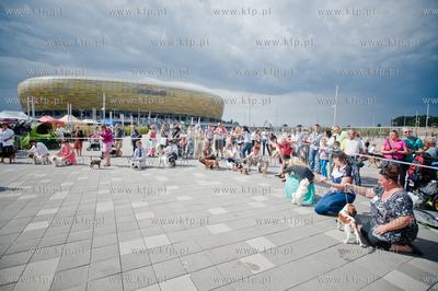 Gdansk. Teren przed stadionem PGE Arena. Miedzynarodowa...