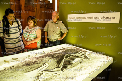 Muzeum Sopotu. Kuratorskie oprowadzanie po wystawie...