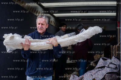 Gdansk. Uniwersytet Gdanski. Rozladunek szkieletu pletwala...