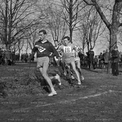 IV Bieg Przejałowy o puchar przechodni Głosu Wybrzeża...