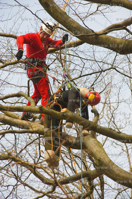 Mistrzostwa Polski we Wspinaczce Drzewnej w Dolinie...