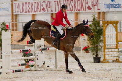 Pierwsze Zawody Ogolnopolskie w nowej hali Hipodromu...