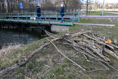 Wiosenny spacer po okolicy Pruszcza Gdańskiego. 22.03.2020
fot....