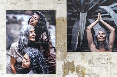 Gdańsk Stocznia. Plenum. Wystawy 4 autorów: Damian...