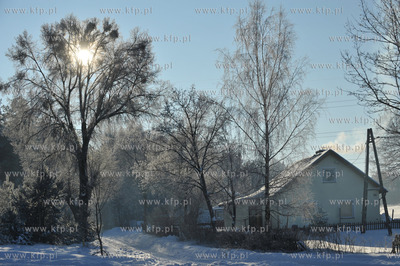 Zima w Sulminie na Kaszubach.
14.01.2010
fot. Maciej...