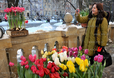 Gdansk, Dlugi Targ. Otwarcie wystawy Ogrod Kulturalny...