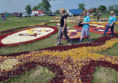 Zulawski Tulipan -  piata edycja imprezy zorganizowanej...