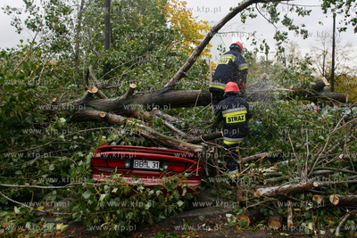 Gdansk. Wichura. Nz na powalone trzy drzewa na ulicy...