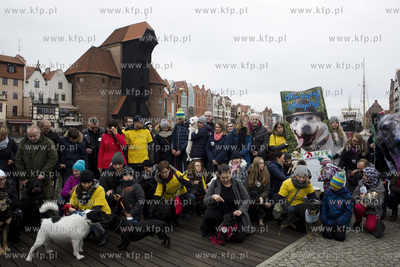 Spacer podopiecznych gdańskiego schroniska Promyk...