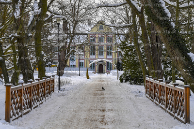 Park Oliwski zimą. 12.02.2021 fot. Paweł Marcinko...