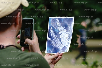 Święto Wielkiej Alei w Parku Steffensów. 26.06.2021...